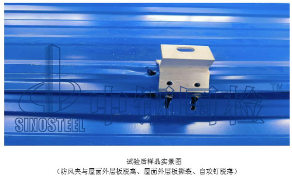 試驗后樣品實景圖