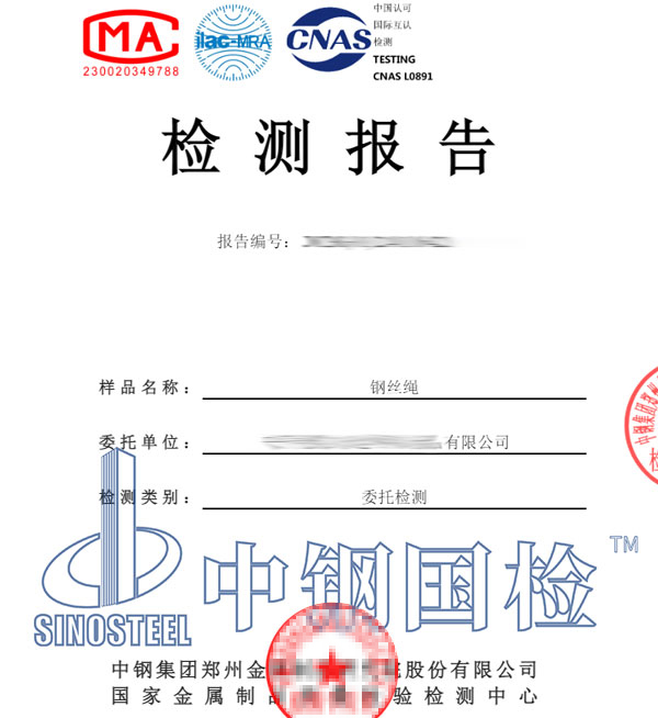 鋼絲繩檢測報(bào)告圖片
